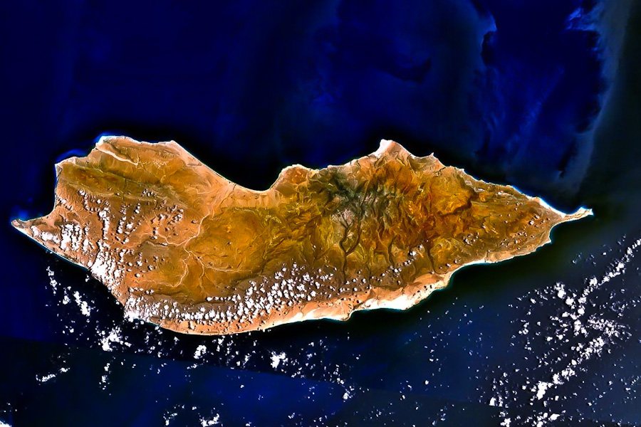 Сокотра — остров уникальной флоры и фауны