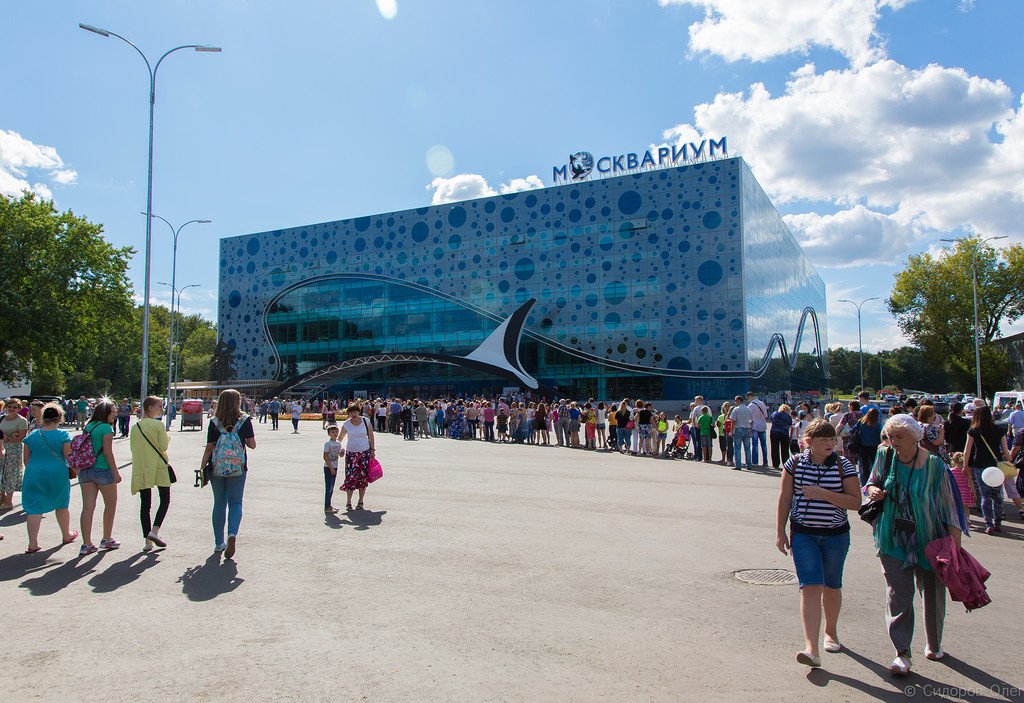 В Москве открыт крупнейший в Европе океанариум