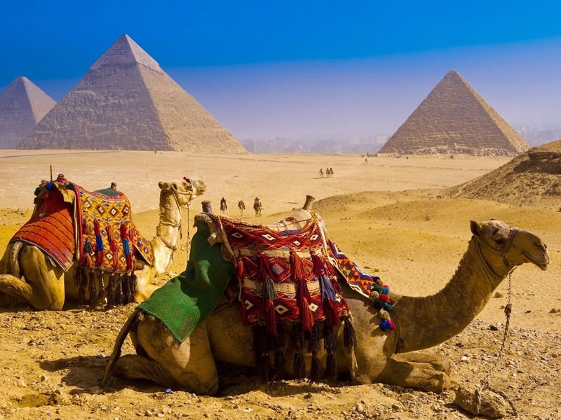 Туры в Египет должны подешеветь на 20%