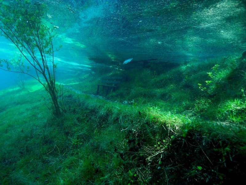 Зеленое озеро в Австрии