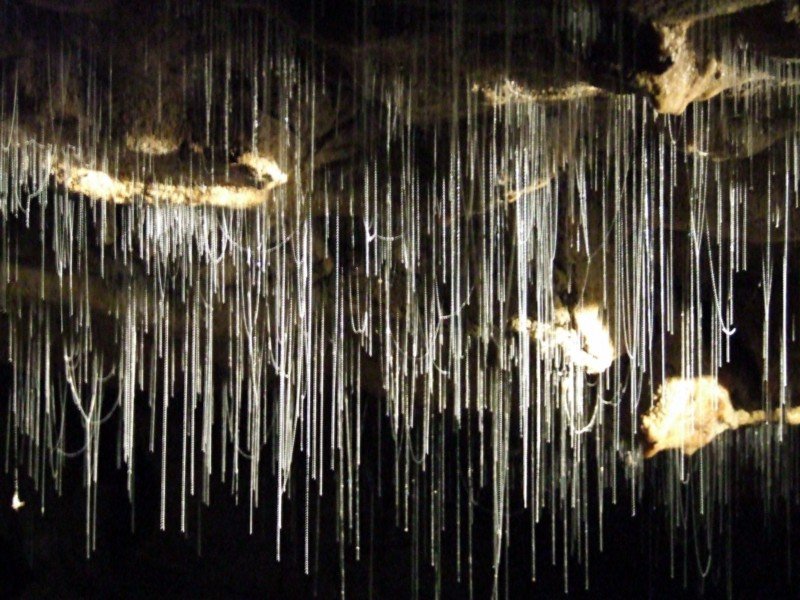 Пещера Светлячков в Новой Зеландии